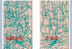 兒童草莓视频污片下载廠家科普運動可以有效促進兒童智力發育