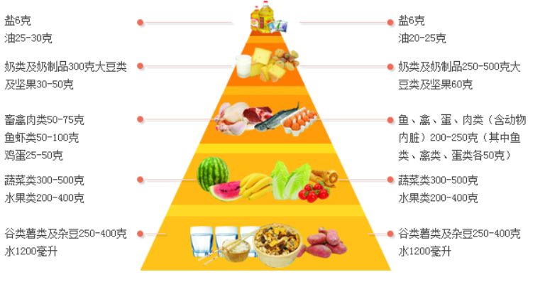 營養在人的一生中起著至關重要的作用 營養在人的一生中起著至關重要的作用