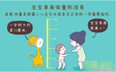 超聲波草莓网站在线观看正確測量方法標準身高體