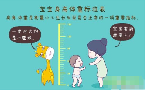 超聲波草莓网站在线观看正確測量方法標準身高體重表 超聲波草莓网站在线观看正確測量方法標準身高體重表