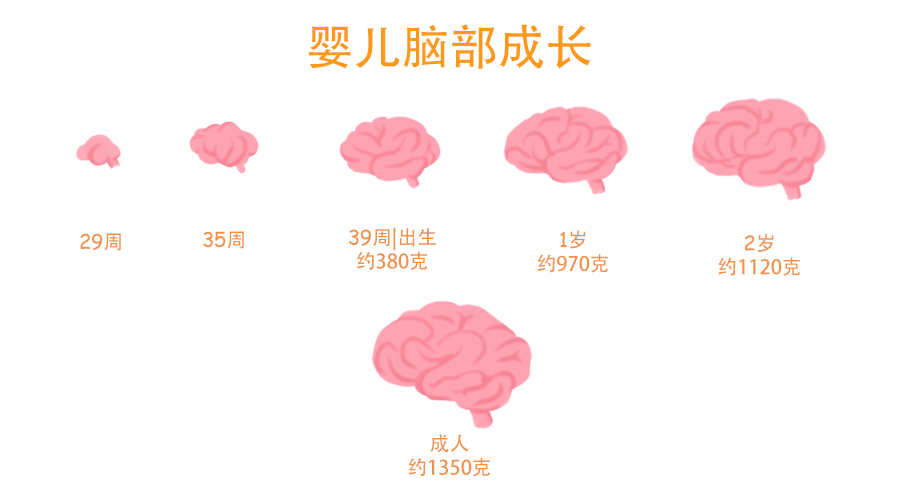 兒童智力測試評估係統有效促進兒童智力的發展 兒童智力測試評估係統有效促進兒童智力的發展