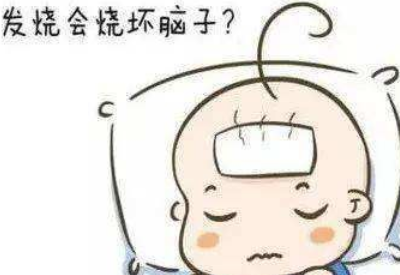 發燒真的會燒壞腦子嗎