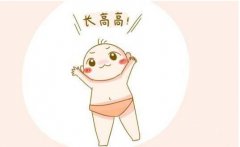 611山東草莓视频免费看身高體重秤廠家解讀什麽樣的身高最合適？